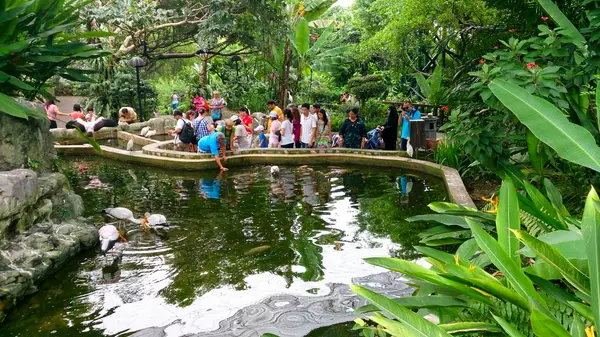Around the area at Kuala Lumpur Butterfly Park Kuala Lumpur — travel photo