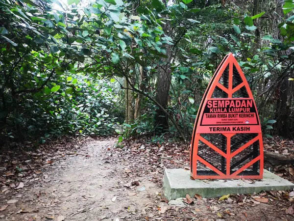 Around the area at Kerinchi Hill Forest Park Kuala Lumpur — travel photo