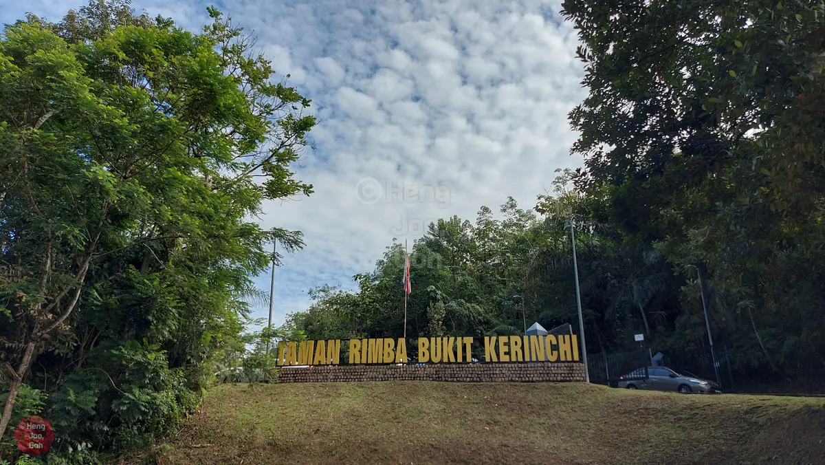 Kerinchi Hill Forest Park