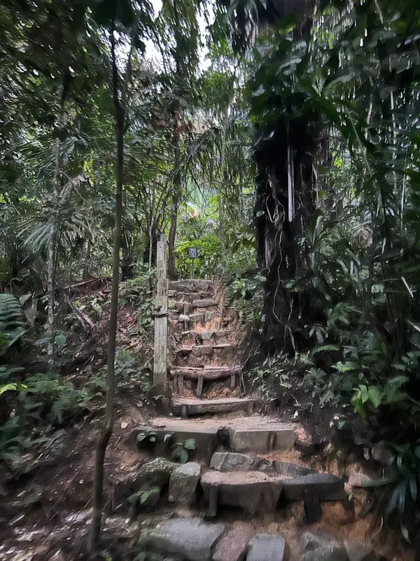 Around the area at Taman Tugu Kuala Lumpur — travel photo