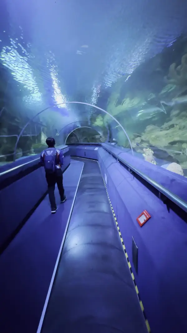 Interior at Aquaria KLCC Kuala Lumpur — travel photo