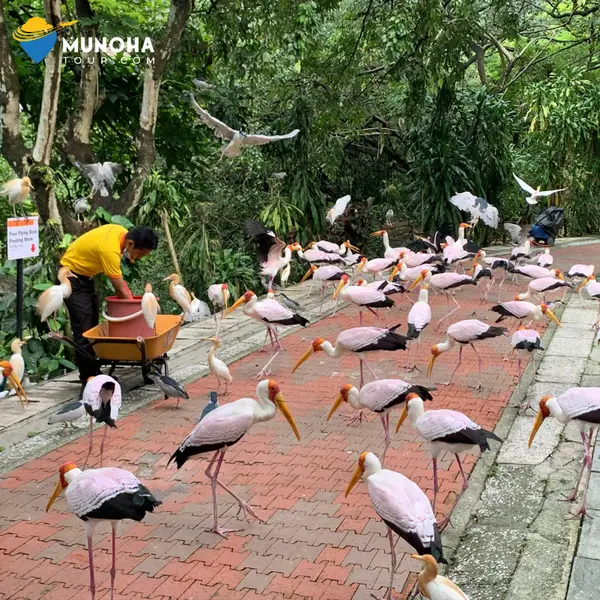 Around the area at KL Bird Park Kuala Lumpur — travel photo