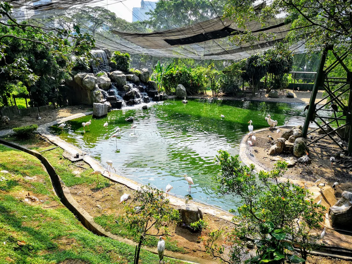 KL Bird Park