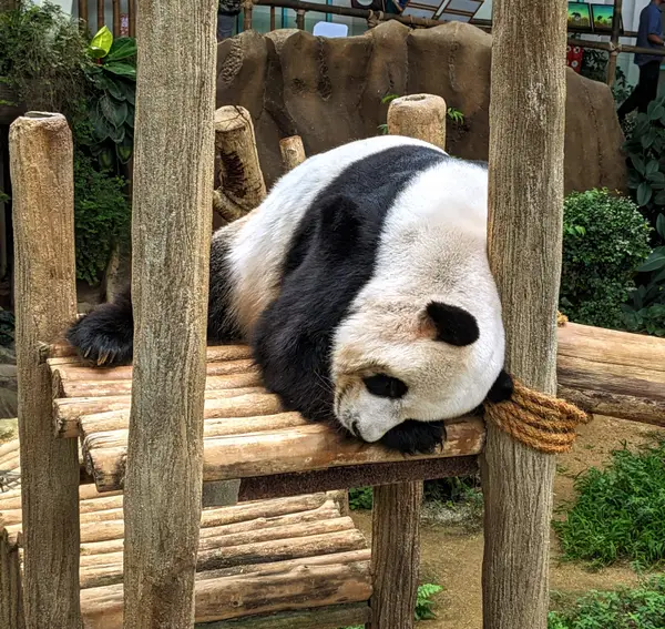 Details at Zoo Negara Malaysia Kuala Lumpur — travel photo