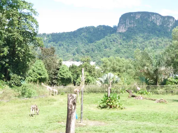 Atmosphere at Zoo Negara Malaysia Kuala Lumpur — travel photo