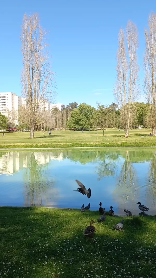 Interior at Parque da Quintas das Conchas e dos Lilases Lisbon — travel photo