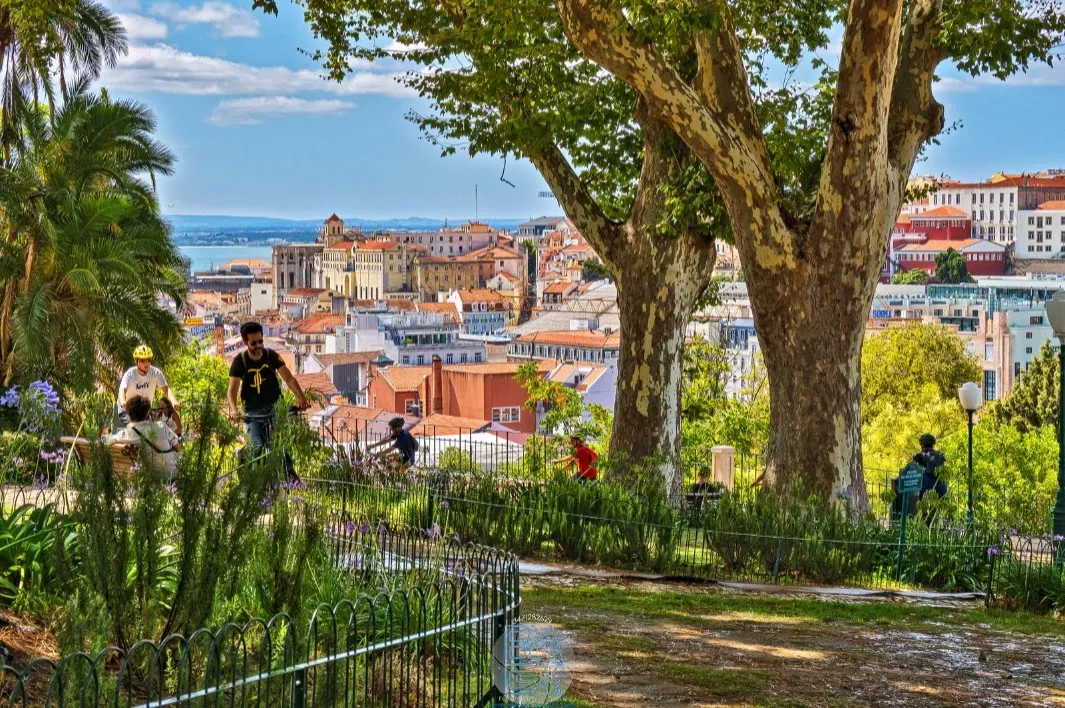 Jardim do Torel