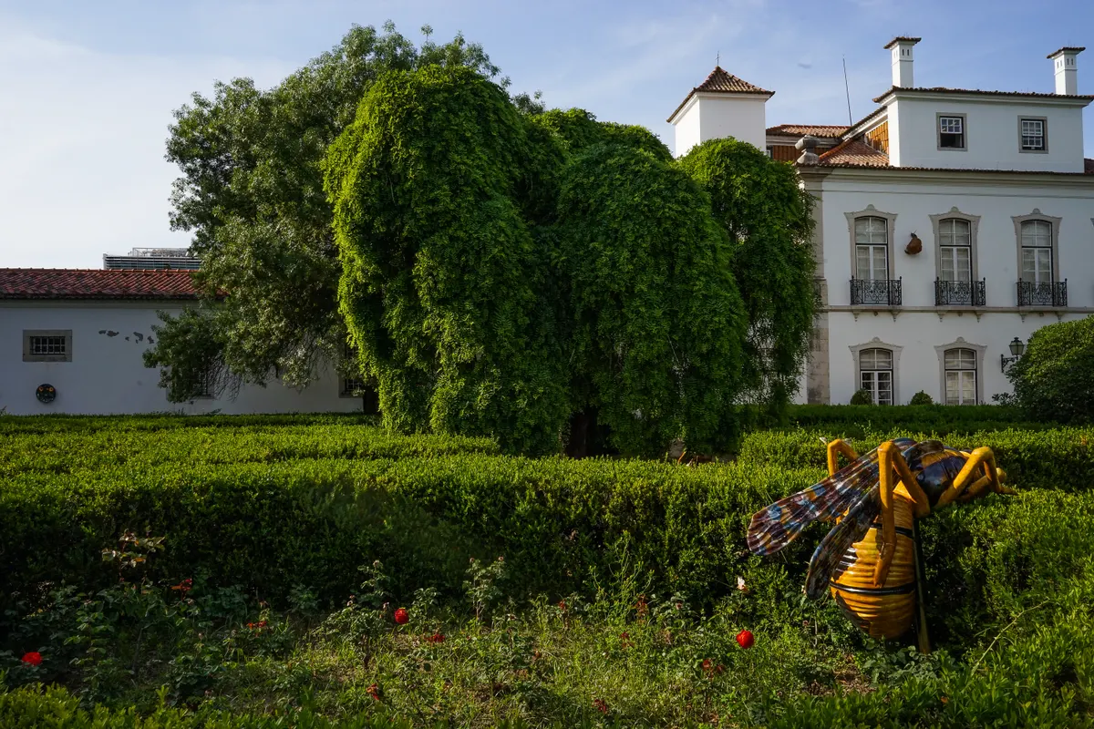 Museum of Lisbon – Pimenta Palace — rainy day guide Lisbon