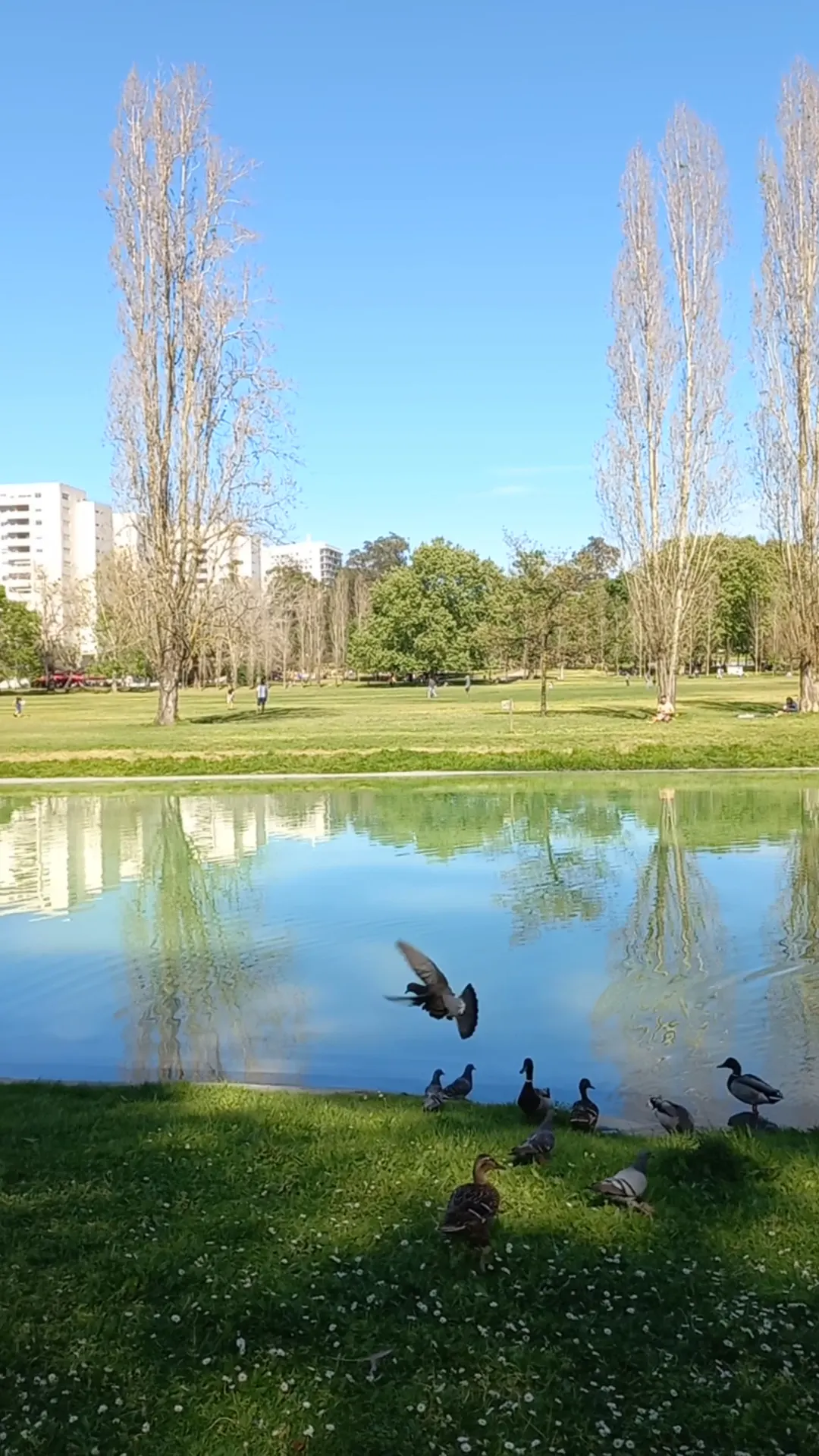 Interior at Parque da Quintas das Conchas e dos Lilases Lisbon — travel photo
