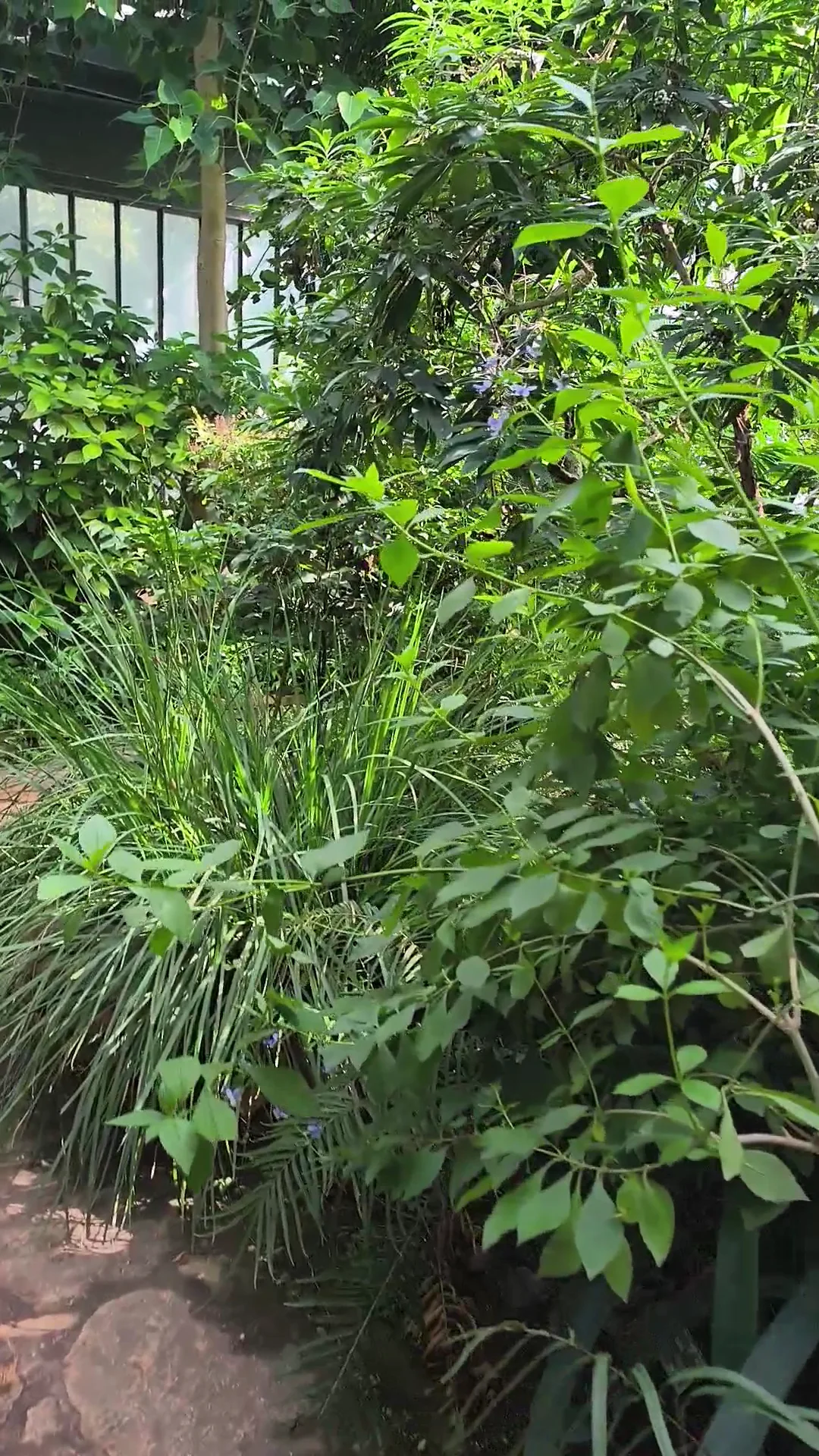 Family areas at Lyon Botanical Garden Lyon — family travel photo