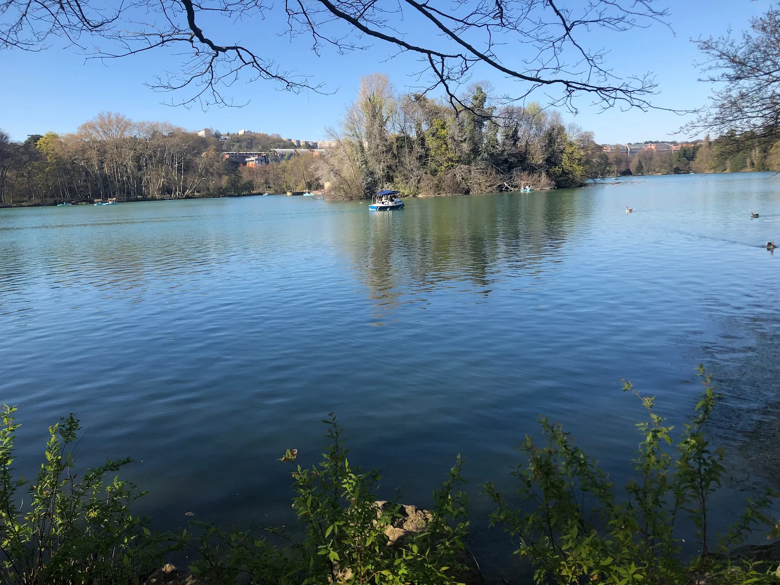 Outdoor views at Lyon Botanical Garden Lyon — family travel photo