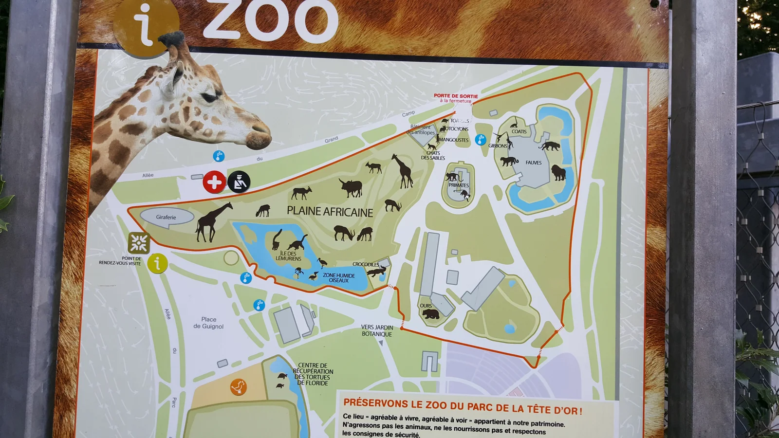 Outdoor views at Parc de la Tête d'Or Lyon — family travel photo