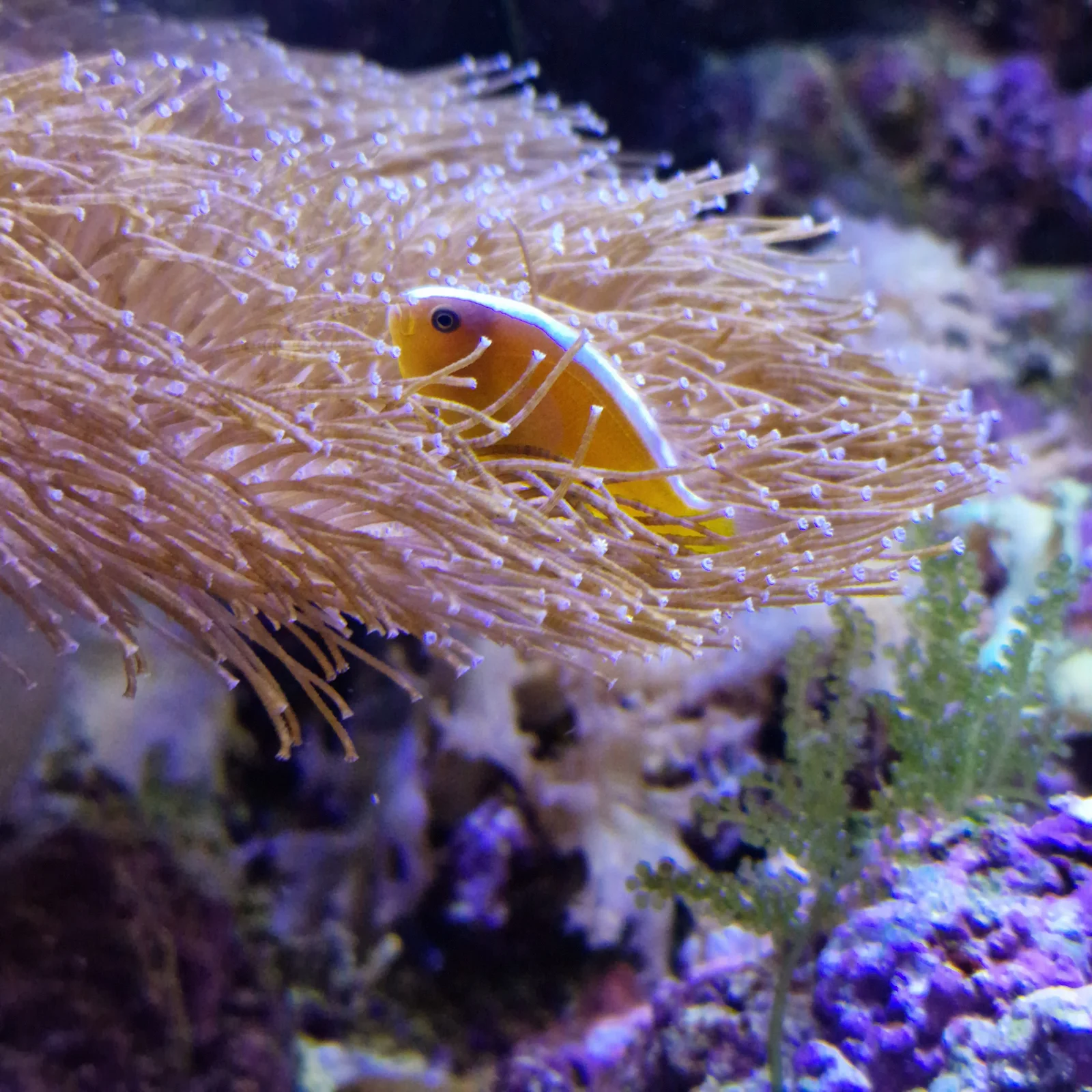 Kids activities at Aquarium of Lyon Lyon — family travel photo