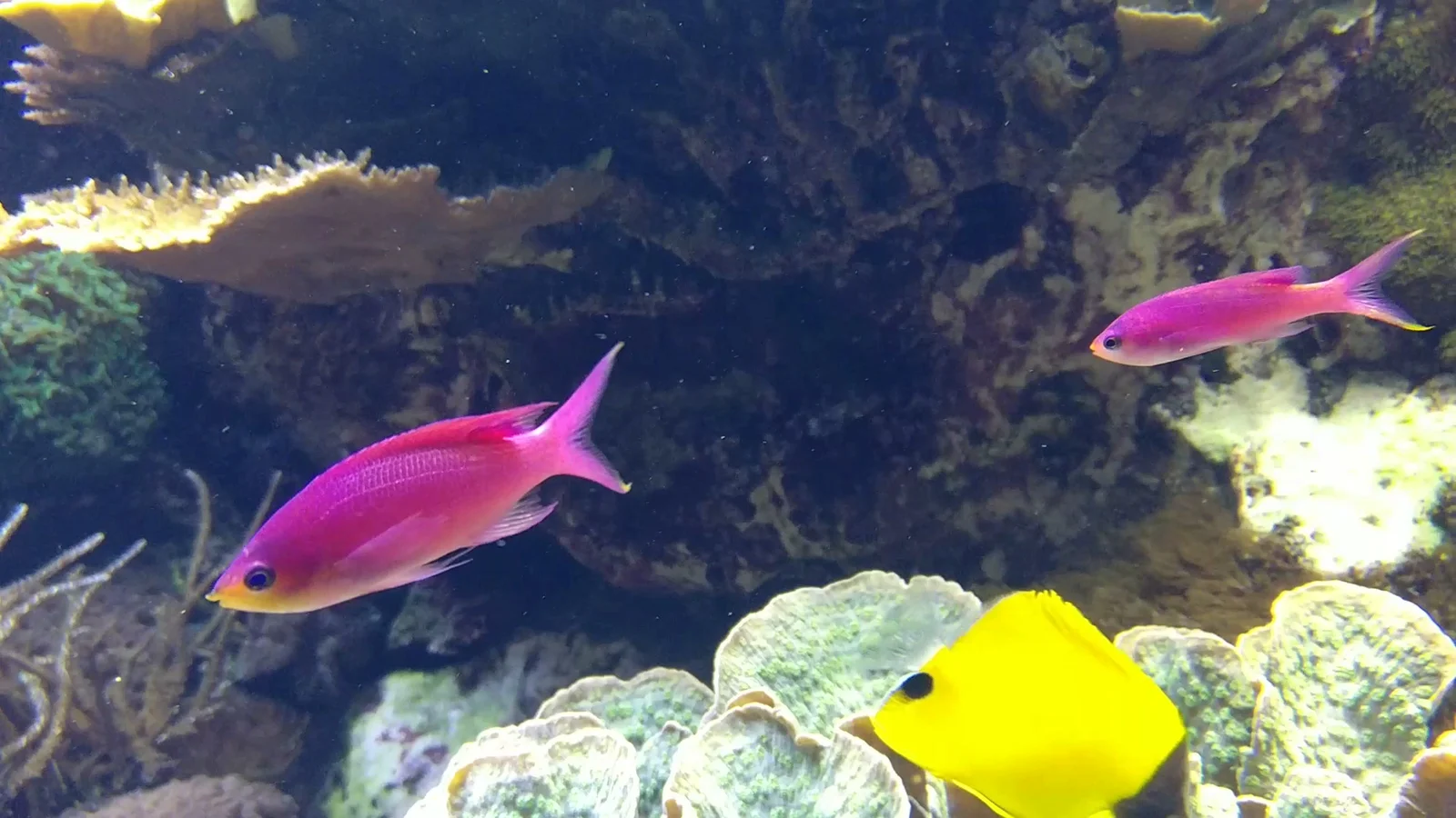 Family areas at Aquarium of Lyon Lyon — family travel photo