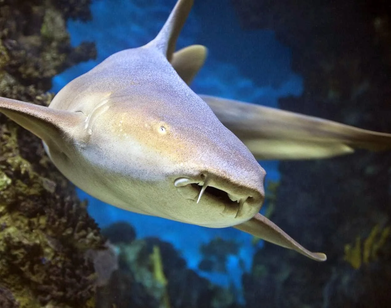 Outdoor views at Aquarium of Lyon Lyon — family travel photo