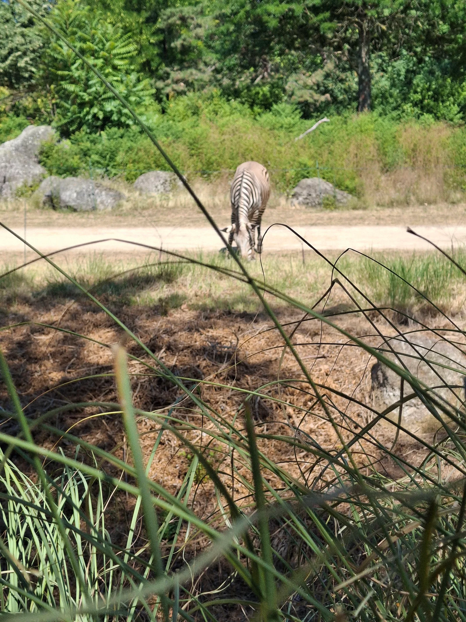 Kids activities at Lyon Zoo Lyon — family travel photo