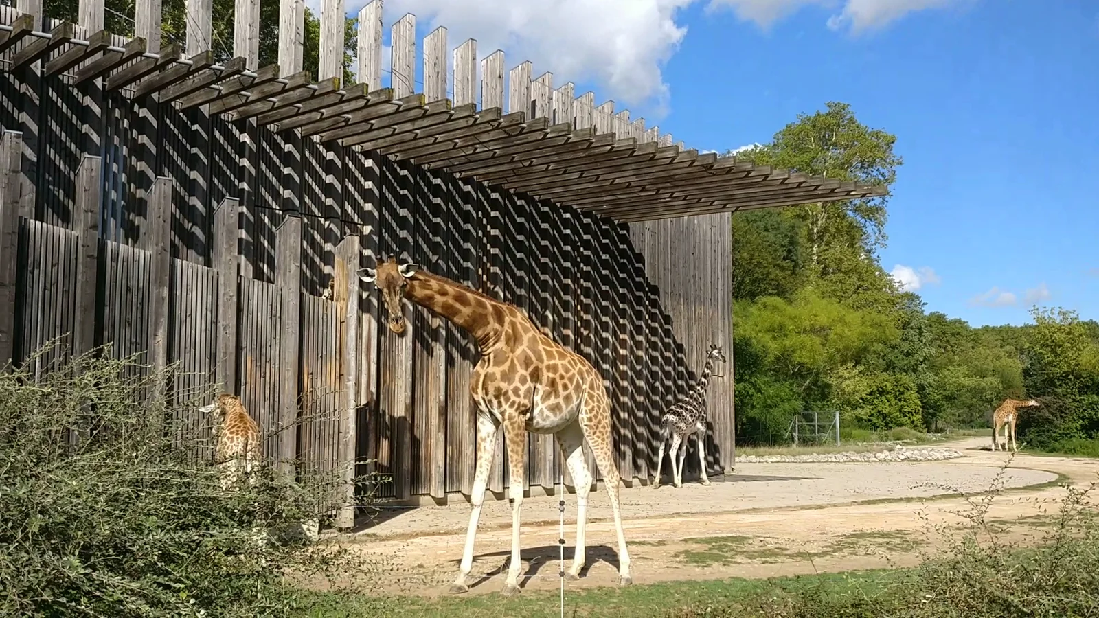 Family areas at Lyon Zoo Lyon — family travel photo