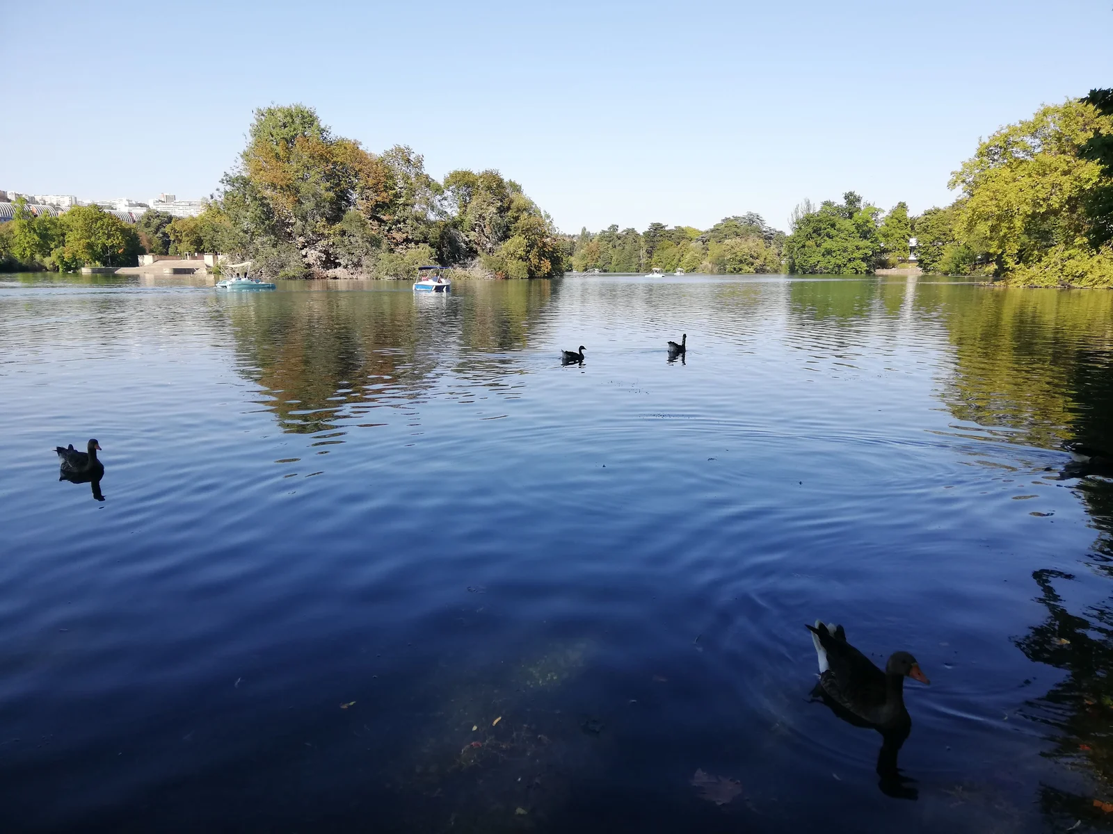 Outdoor views at Lyon Zoo Lyon — family travel photo