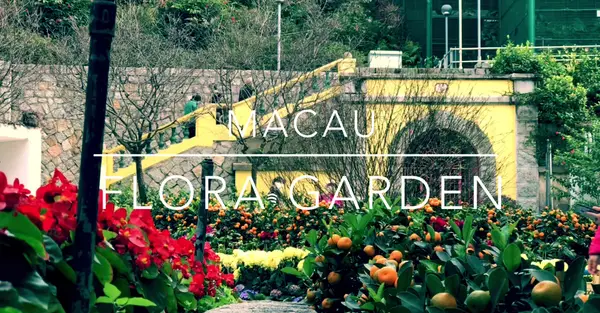 Interior at Flora Garden Macau — travel photo