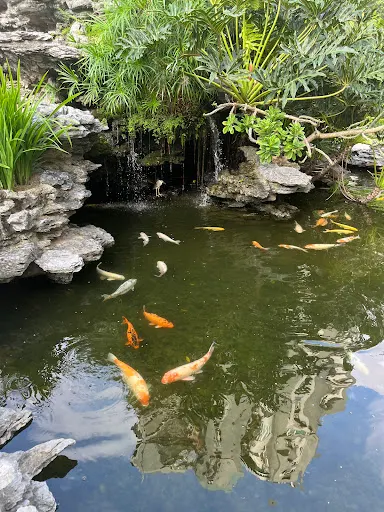 Atmosphere at Garden of Flower City Macau — travel photo