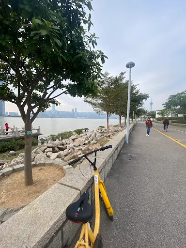 Details at Leisure Area on Taipa Waterfront Macau — travel photo