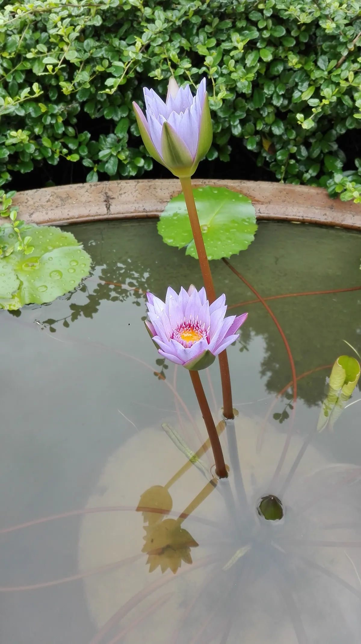 Around the area at Monte Fort Macau — travel photo