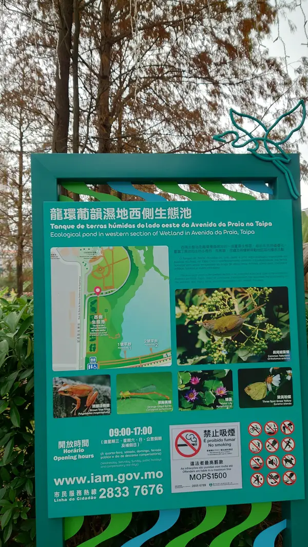 Details at Ecological pond of Wetland Macau — travel photo