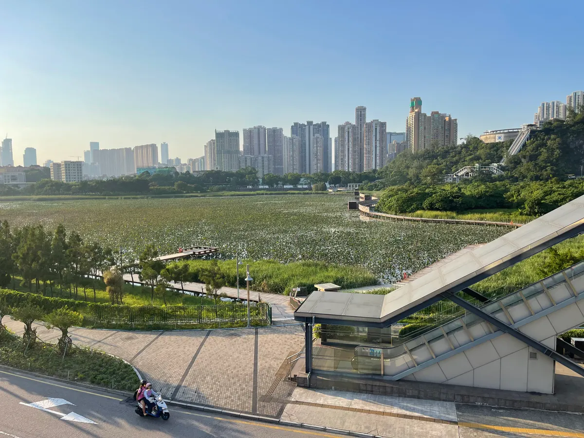 Ecological pond of Wetland