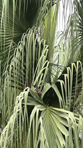 Atmosphere at Camoes Garden Macau — travel photo