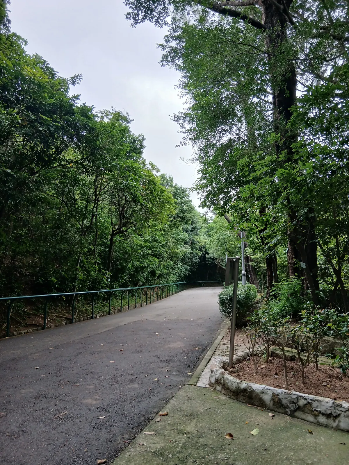 Details at Guia Hill Municipal Park Macau — travel photo