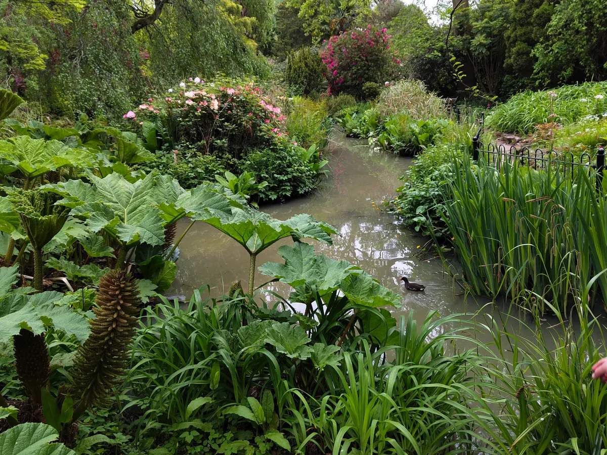 Fletcher Moss Botanical Gardens