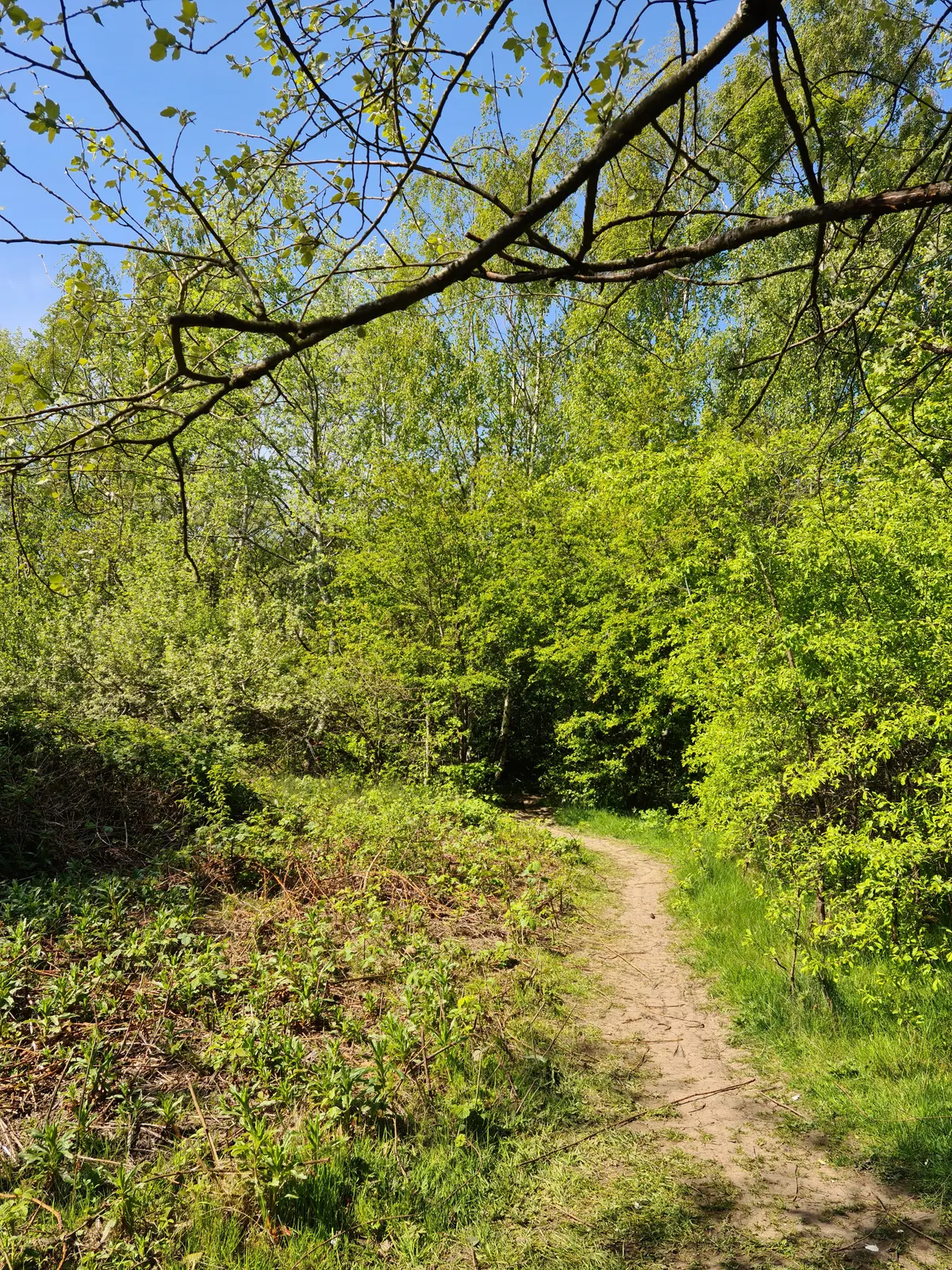 Highfield Country Park
