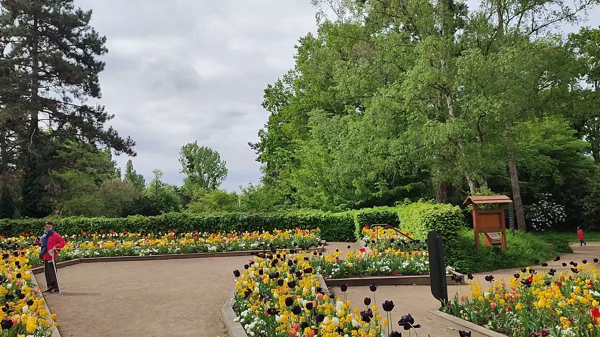 Interior at Parc Floral de Paris Paris — travel photo