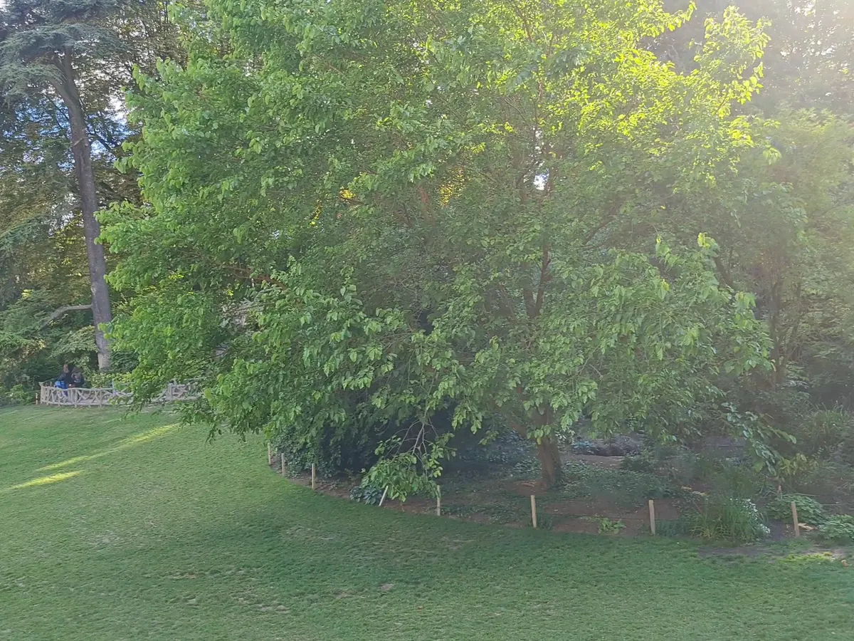 Atmosphere at Parc Montsouris Paris — travel photo