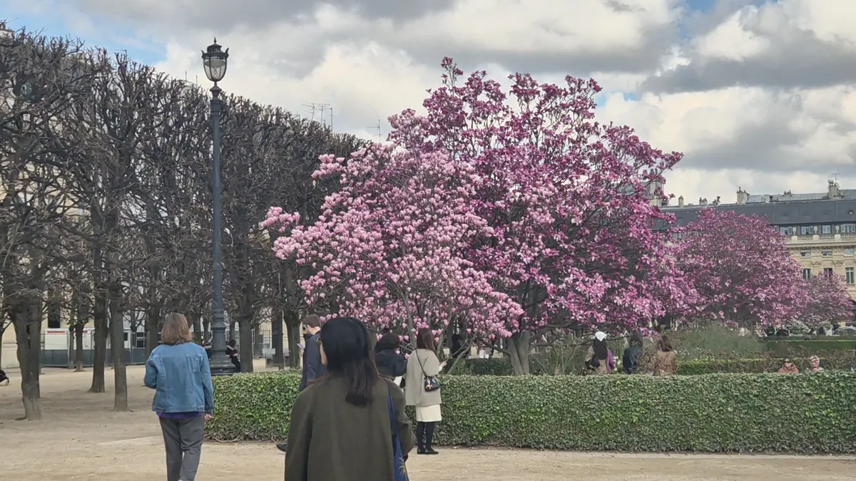 Around the area at Domaine National du Palais-Royal Paris — travel photo