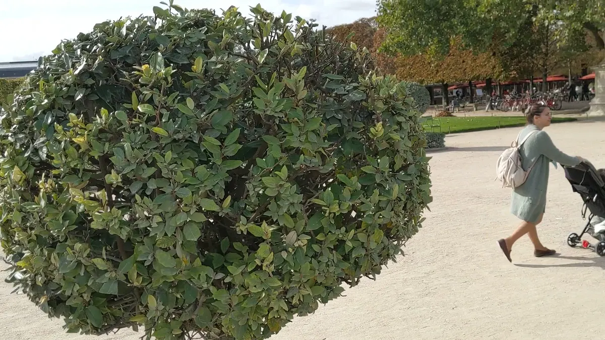 Around the area at Tuileries Garden Paris — travel photo