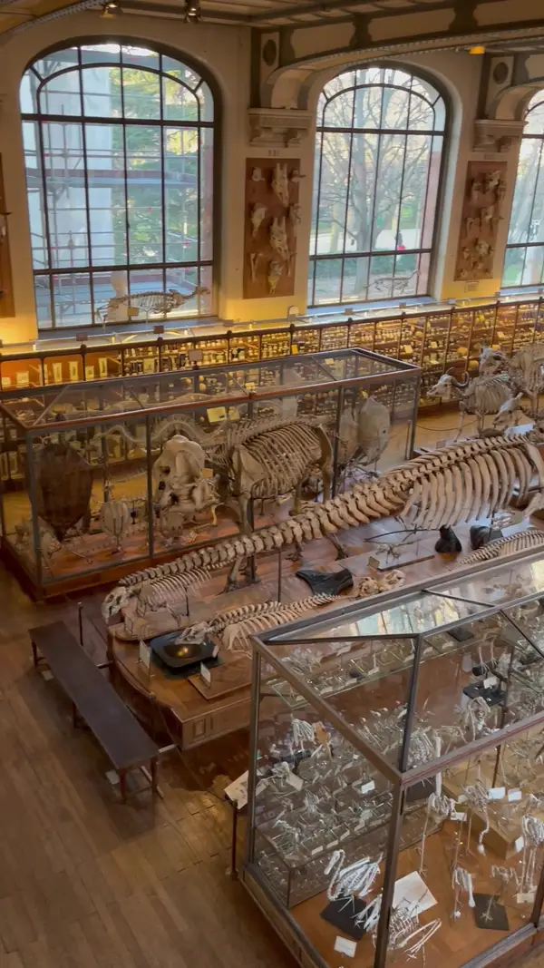 Interior at National Museum of Natural History Paris — travel photo