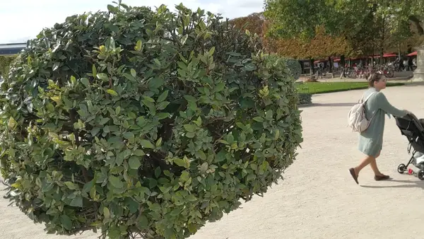 Around the area at Tuileries Garden Paris — travel photo