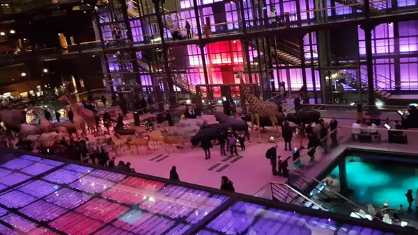 Interior at Gallery of Evolution Paris — travel photo
