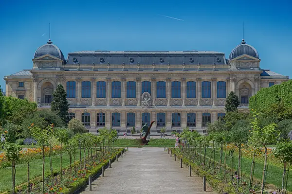 Details at Gallery of Evolution Paris — travel photo