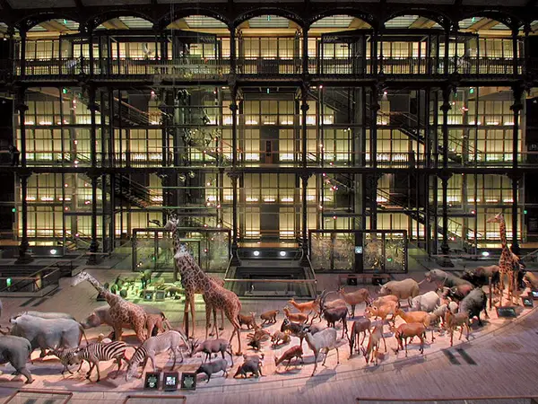 Around the area at Gallery of Evolution Paris — travel photo