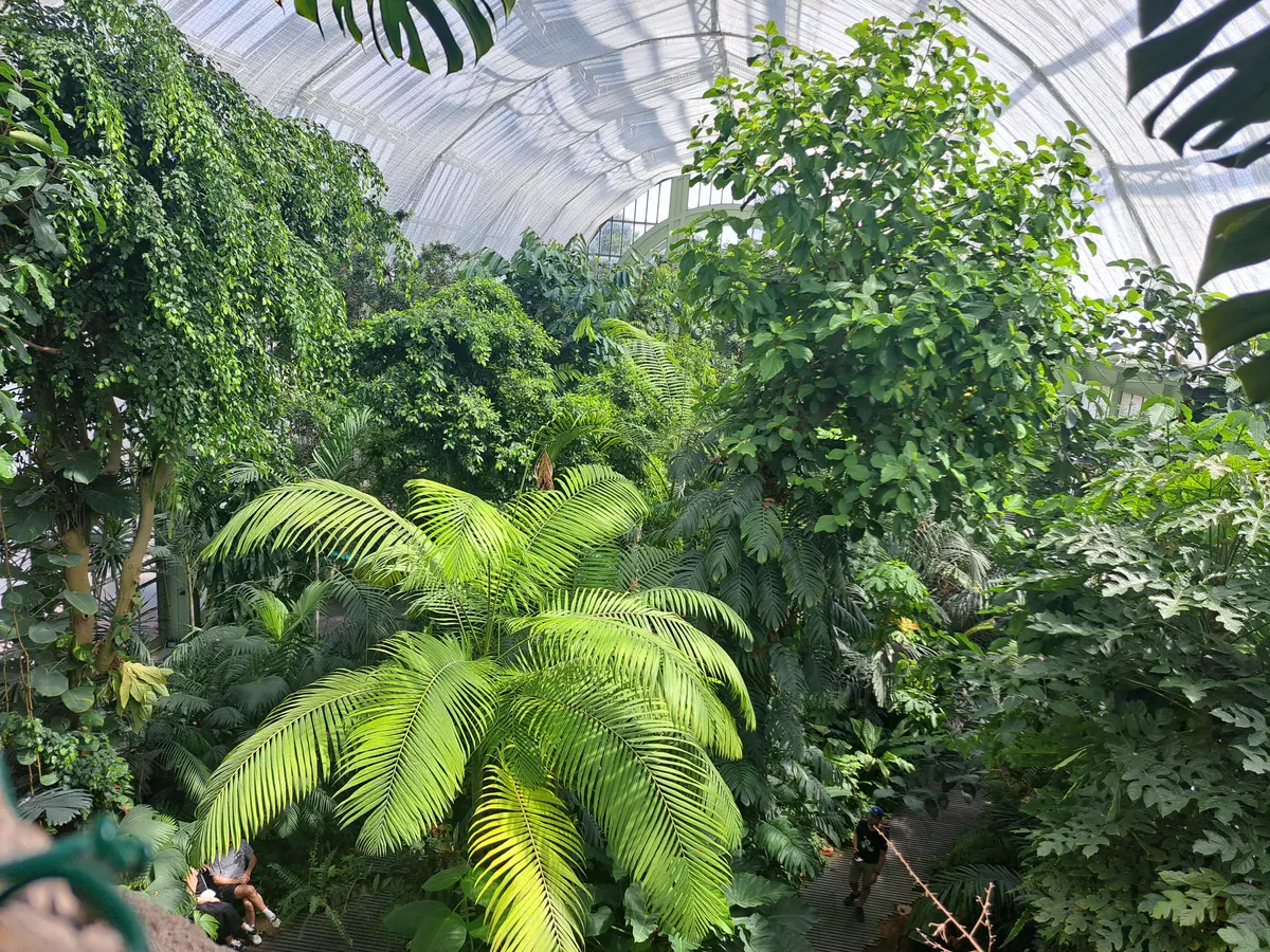 Atmosphere at La Ménagerie, le zoo du Jardin des Plantes Paris — travel photo