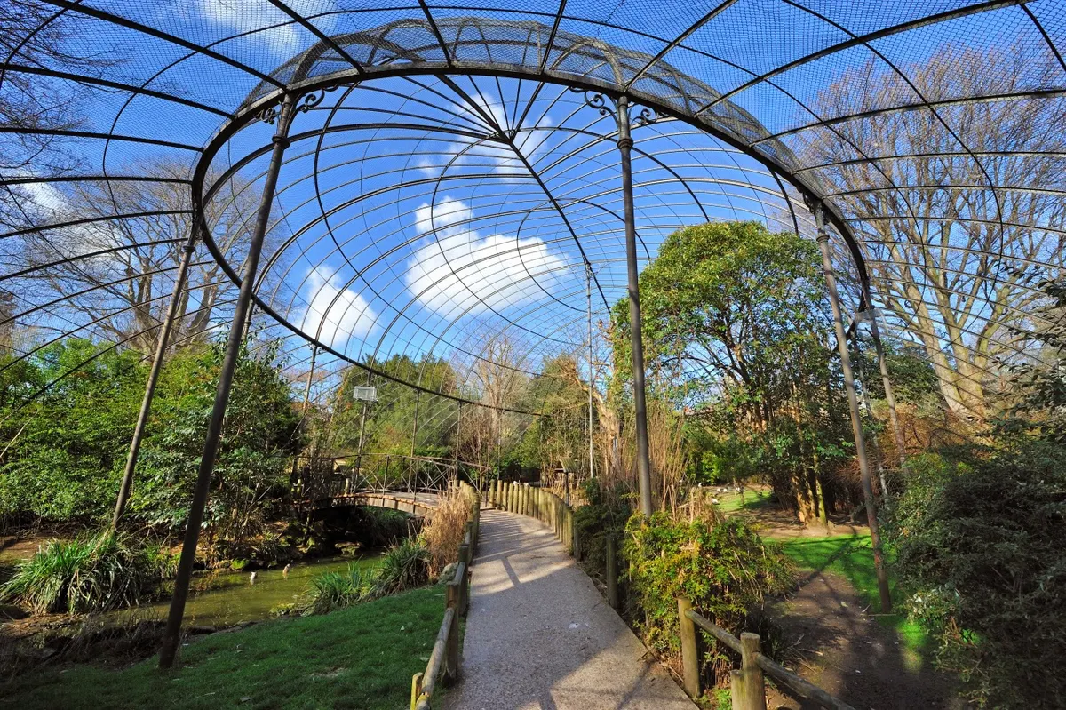 La Ménagerie, le zoo du Jardin des Plantes