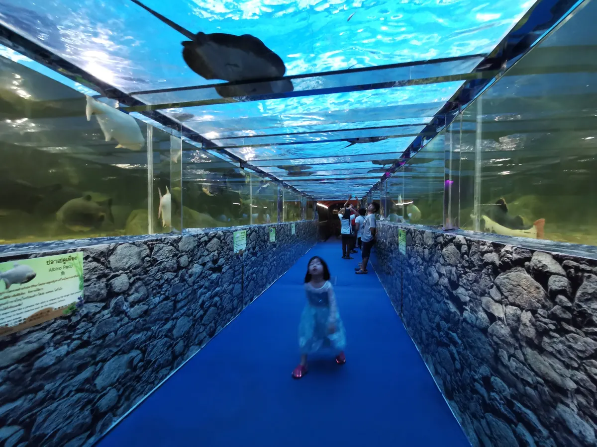Monster Aquarium Pattaya