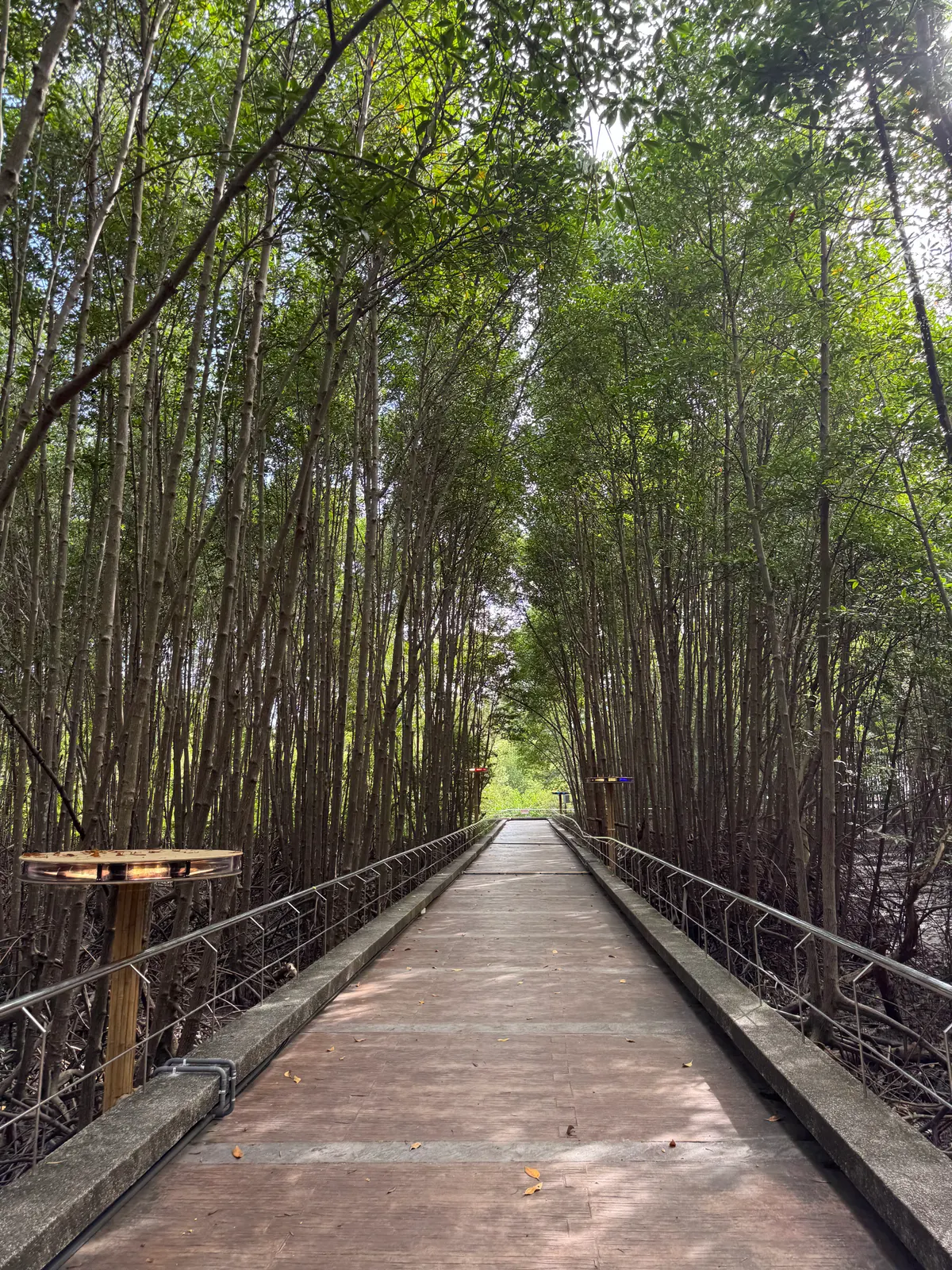 Saphan Hin