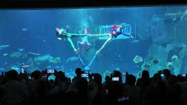 Interior at Aquaria Phuket Phuket — travel photo
