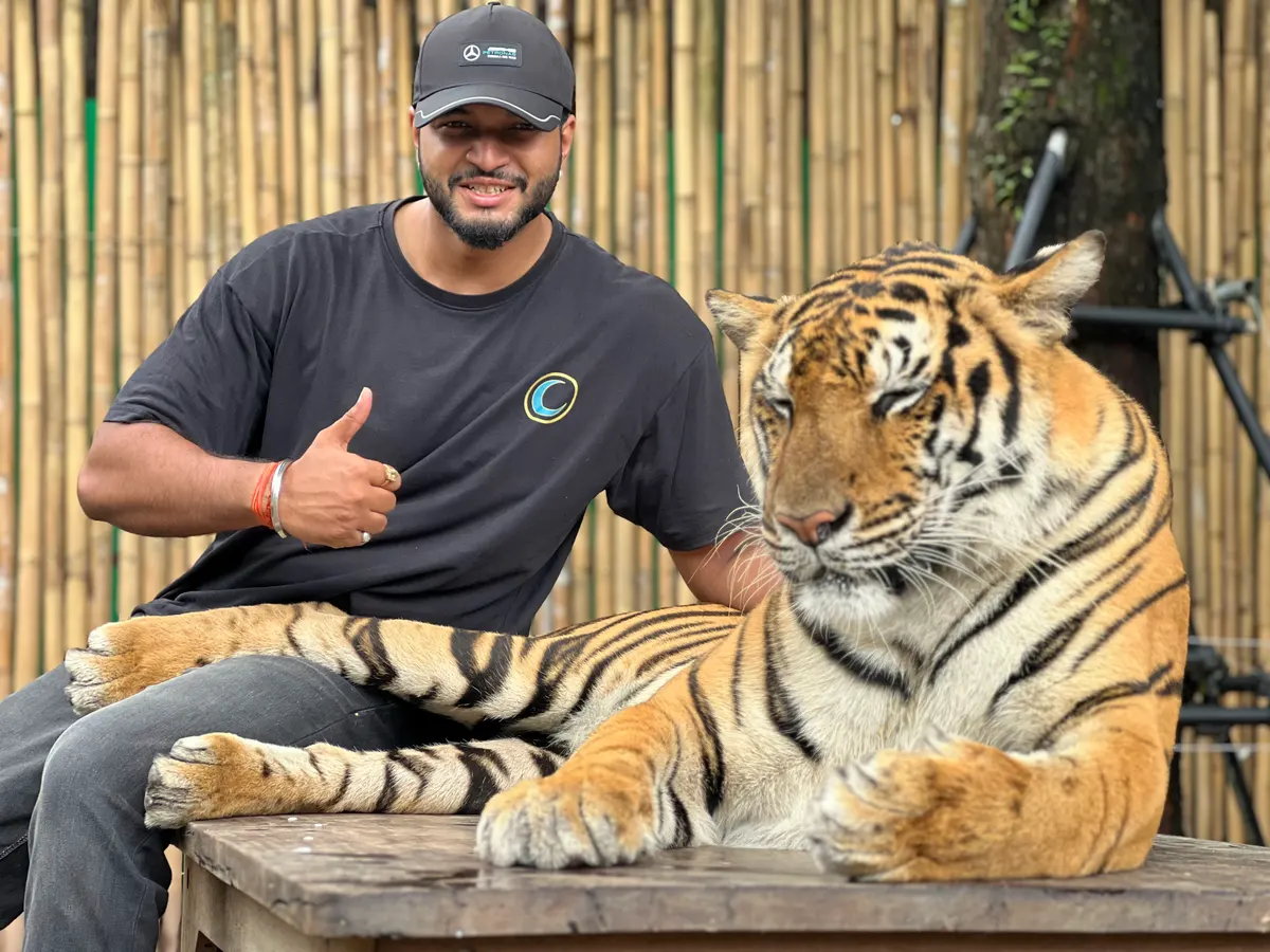 Tiger Kingdom