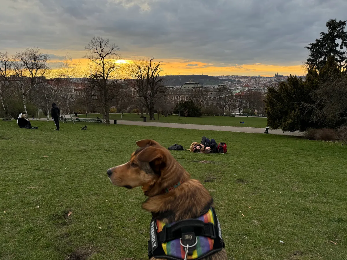 Around the area at Riegrovy Sady Prague — travel photo