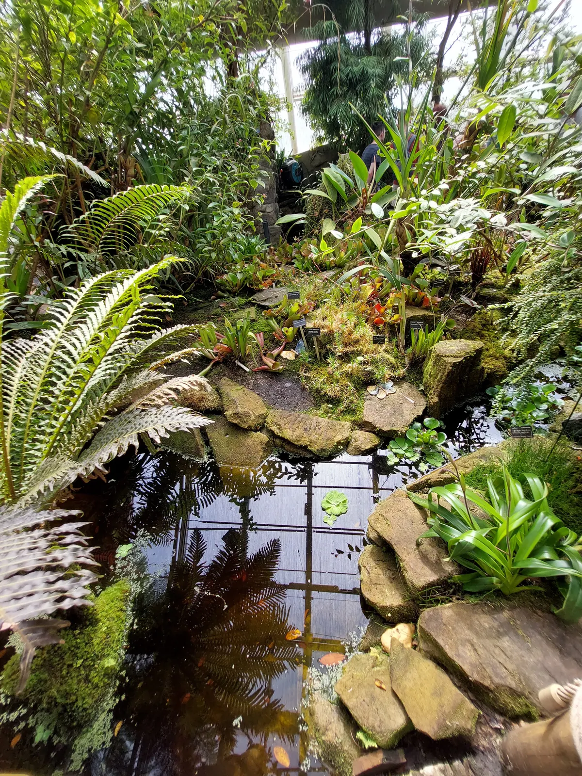 Around the area at Botanical Garden of the City Prague Prague — travel photo