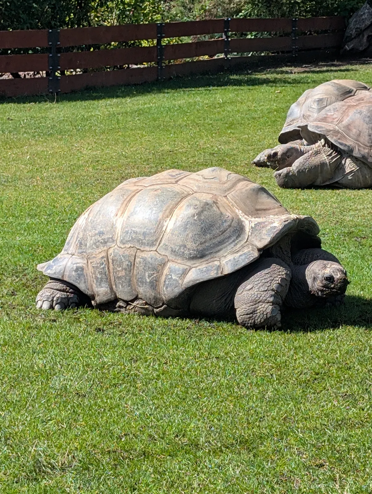 Around the area at Prague Zoo Prague — travel photo